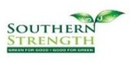 Southern Strength